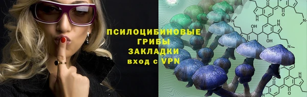 прущая мука Нея