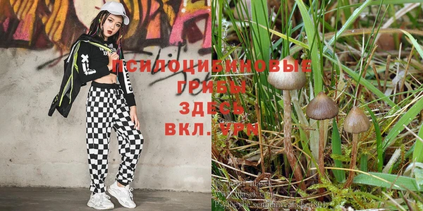 кокаин VHQ Аркадак