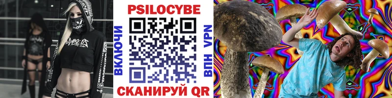 Галлюциногенные грибы Psilocybine cubensis  Сокол 